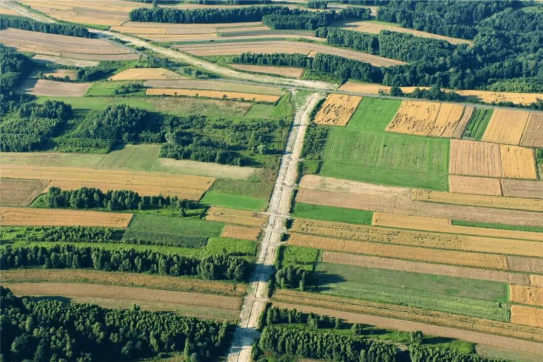 Kto może kupić działkę rolną? Zaskakujące zasady dla nie-rolników