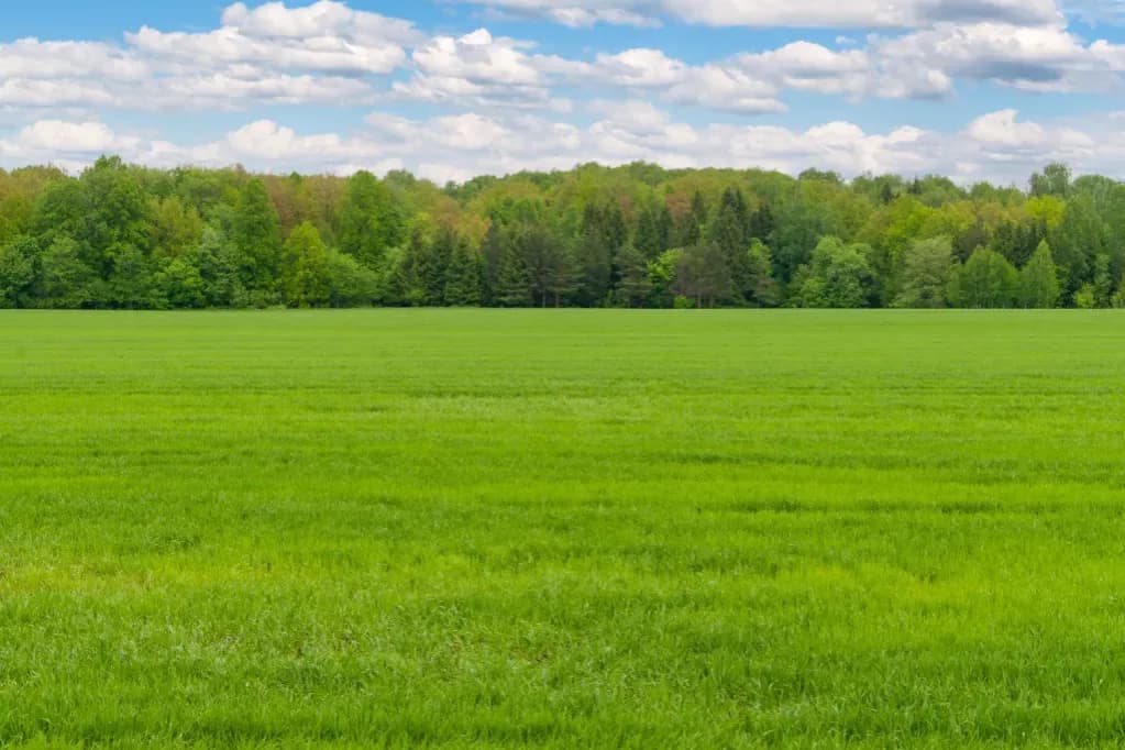 Ile kosztuje metr działki rolnej? Sprawdź ceny w różnych regionach