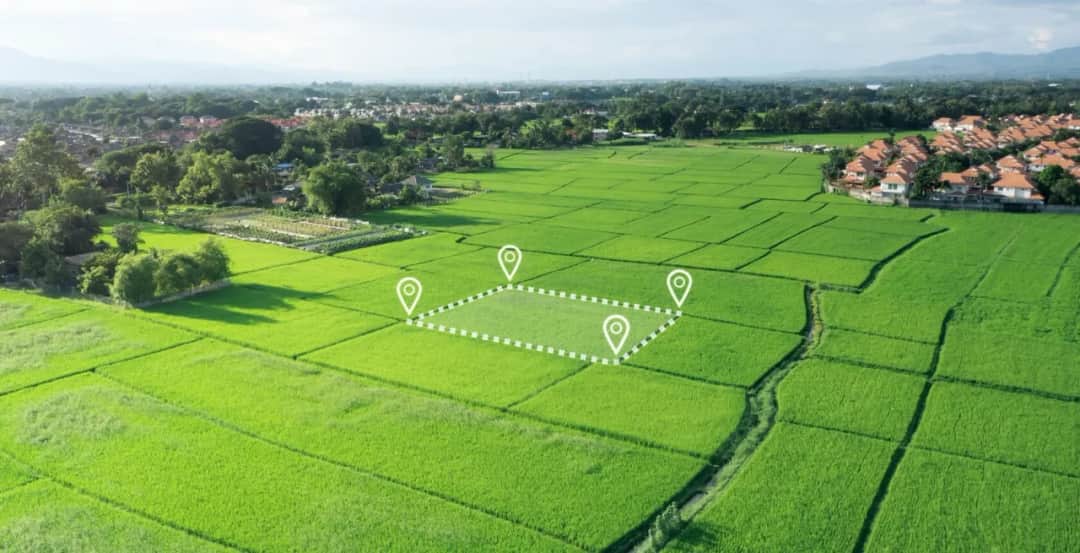 Ile kosztuje podział działki rolnej? Sprawdź ukryte koszty i czynniki